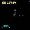 SN 1975V