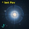 * bet Pav