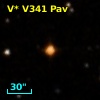 V* V341 Pav