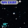 NSV 13197