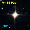V* BS Pav