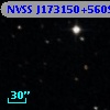 NVSS J173150+560954