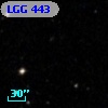 LGG 443