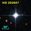 HD 202847