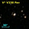 V* V338 Pav