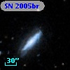 SN 2005br