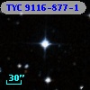 TYC 9116-877-1