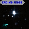 CPD-60  7503B