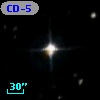 CD-53  9119