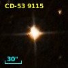 CD-53  9115