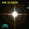HD 213829