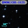 [EM96] COS-1125