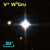 V* W Gru