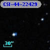 CSI-44-22429