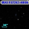 IRAS F17282+6010