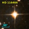 HD 116466