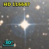 HD 116647