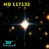HD 117132