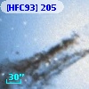 [HFC93]   205