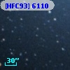 [HFC93]  6110