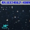 RX J132456.7-430957