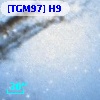 [TGM97] H9