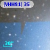 [VHH81]  35
