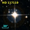 HD 117119