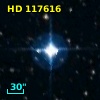 HD 117616