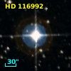 HD 116992