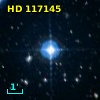 HD 117145