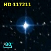HD 117211