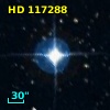 HD 117288