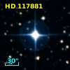 HD 117881