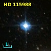 HD 115988
