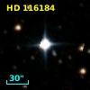 HD 116184