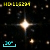 HD 116294