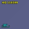 HD 116599