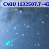 CXOU J132507.7-430114