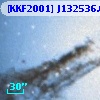 [KKF2001] J132536.64-430057.53