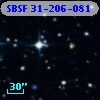 SBSF 31-206-081
