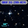 SBSF 31-299-024