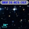 SBSF 31-021-317