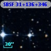 SBSF 31+136+346