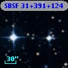 SBSF 31+391+124