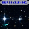 SBSF 31+316+302