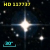 HD 117737