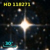 HD 118271