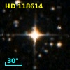 HD 118614