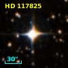 HD 117825